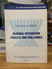 REGIONAL INTEGRATION PROCESS AND CHALLENGES - ảnh 1