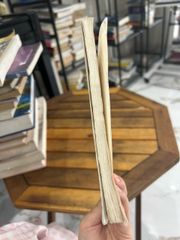 Địa lý tự nhiên Biển Đông – Nguyễn Văn Âu - ảnh 3
