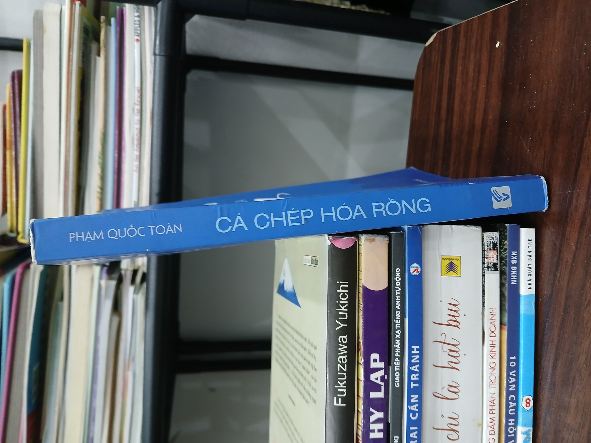 Cá chép hóa rồng – Phạm Quốc Toàn