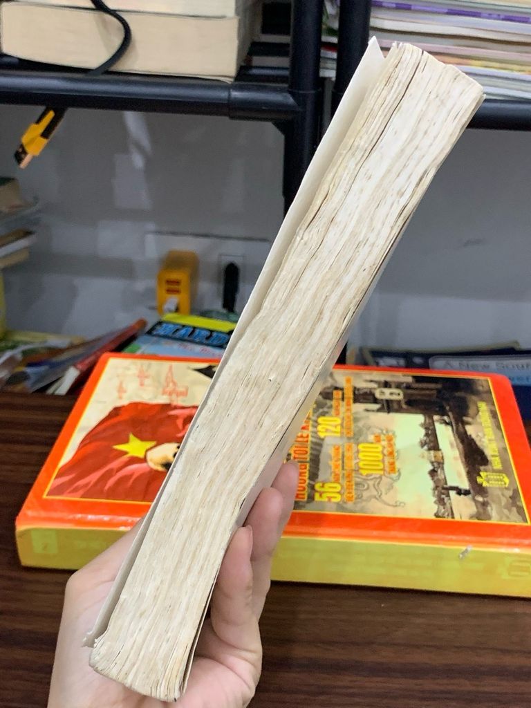 Nguyễn Khuyến – Thơ, Lời bình và Giai thoại – Nguyễn Khuyến - Ảnh thực tế 4