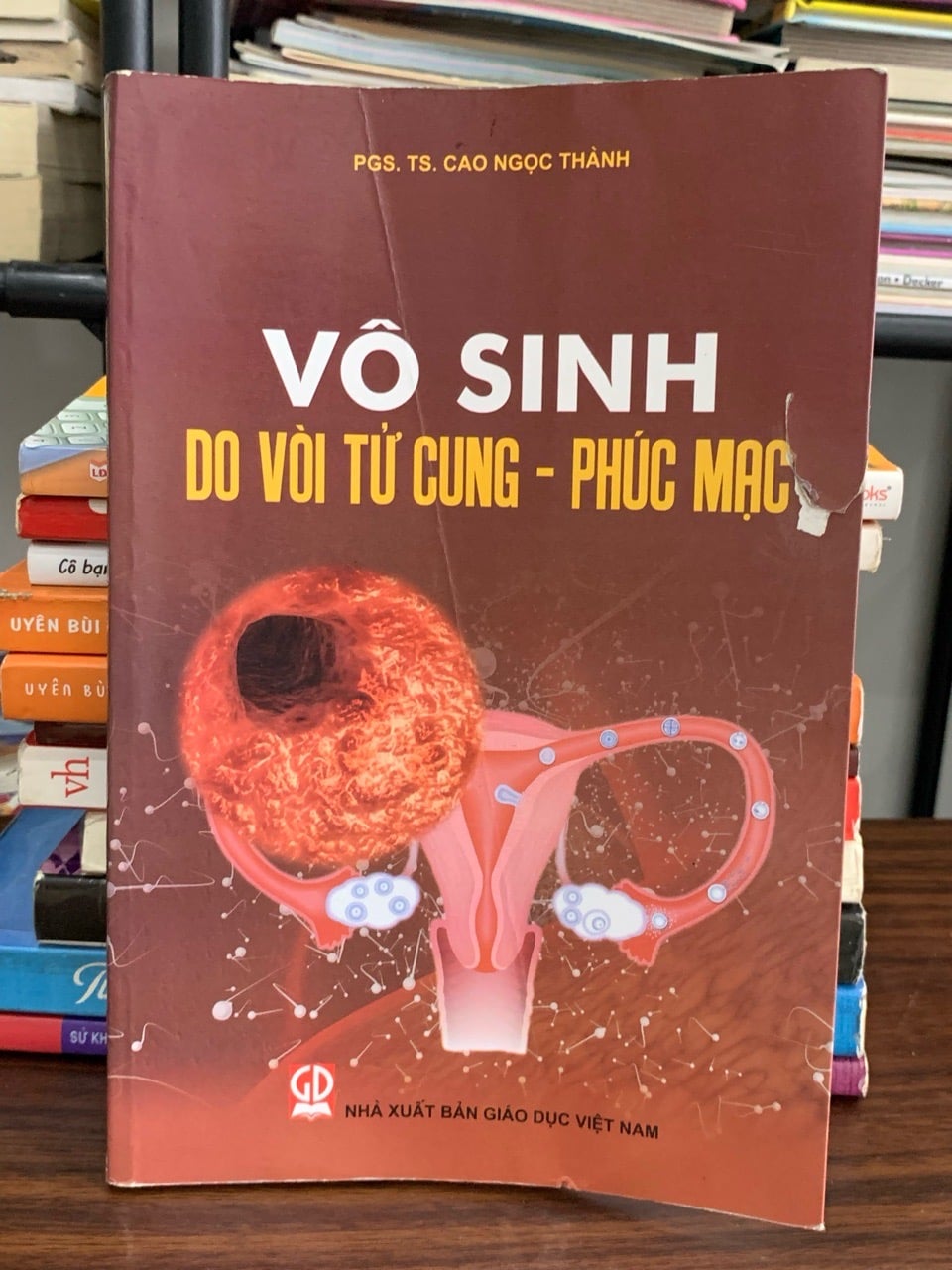 Vô sinh do vòi tử cung – Phúc mạc – PGS.TS. Cao Ngọc Thành