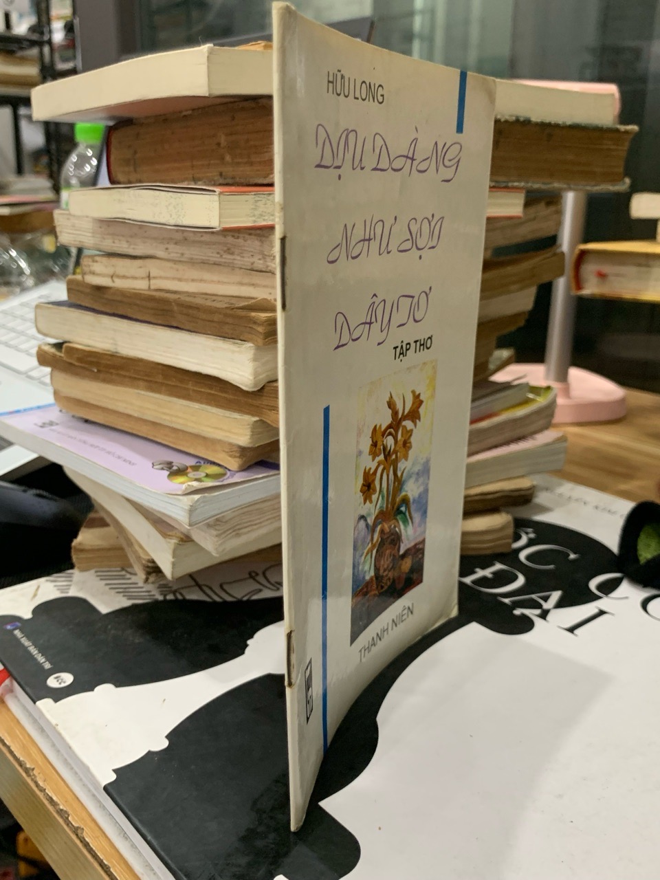 Tuyển Tập Thơ Dịu Dàng Như Sợi Dây Tơ của Tác Giả Hữu Long