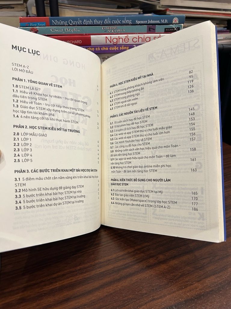 Học STEM kiểu Mỹ tại nhà – Hong Dinh - Ảnh chụp thực tế