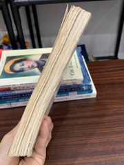 Truyện ngắn tuyển chọn – Nam Cao - ảnh 3