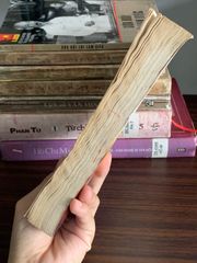 Thơ Trần Tế Xương – Tác phẩm và Lời bình – Trần Tế Xương - ảnh 3