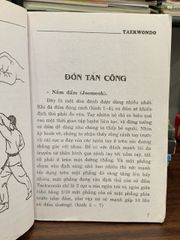 Taekwondo bài quyền tự luyện W.T.F – Võ sư Trần Hữu Nhân - ảnh 4
