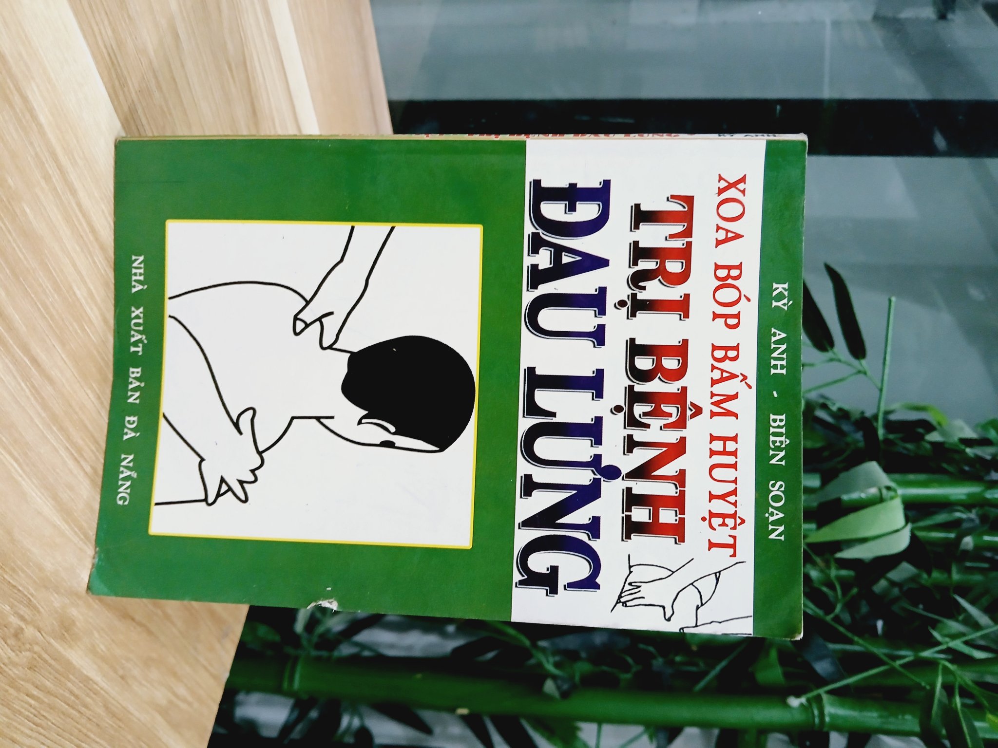 Xoa bóp bấm huyệt- trị bệnh đau lưng- Kỳ Anh