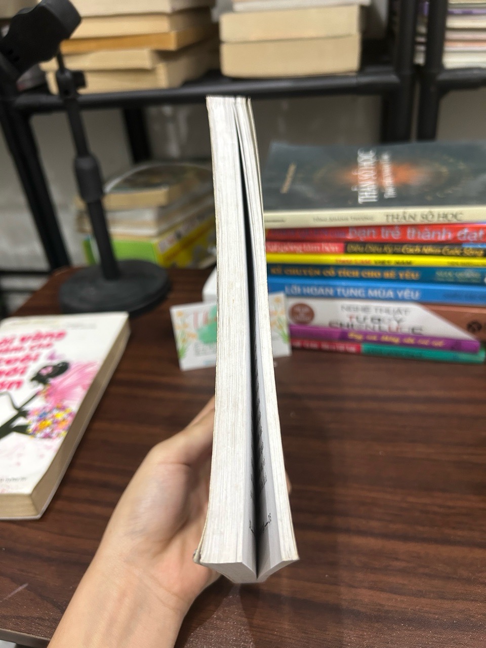 Chiến thắng trong kinh doanh dịch vụ- Waldemar SCHMDT