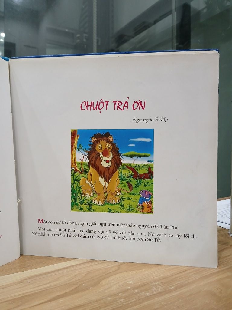 Xứ sở tấm lòng nhân hậu - Trịnh Xuân Hoành - Ảnh thực tế 7