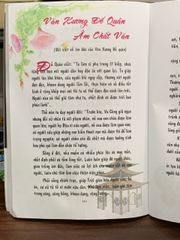 Du Tịnh Ý gặp Táo quân - ảnh 5