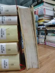 Đất rừng phương Nam – Cá bống mú – Hoa hướng dương – Đoàn Giỏi - ảnh 4