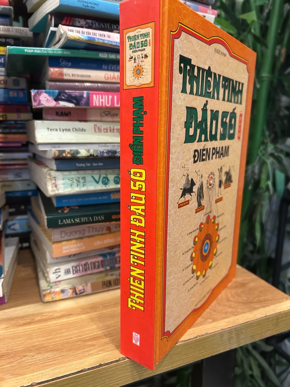 Thiên tinh đẩu số điển phạm -Vũ Đức Huỳnh