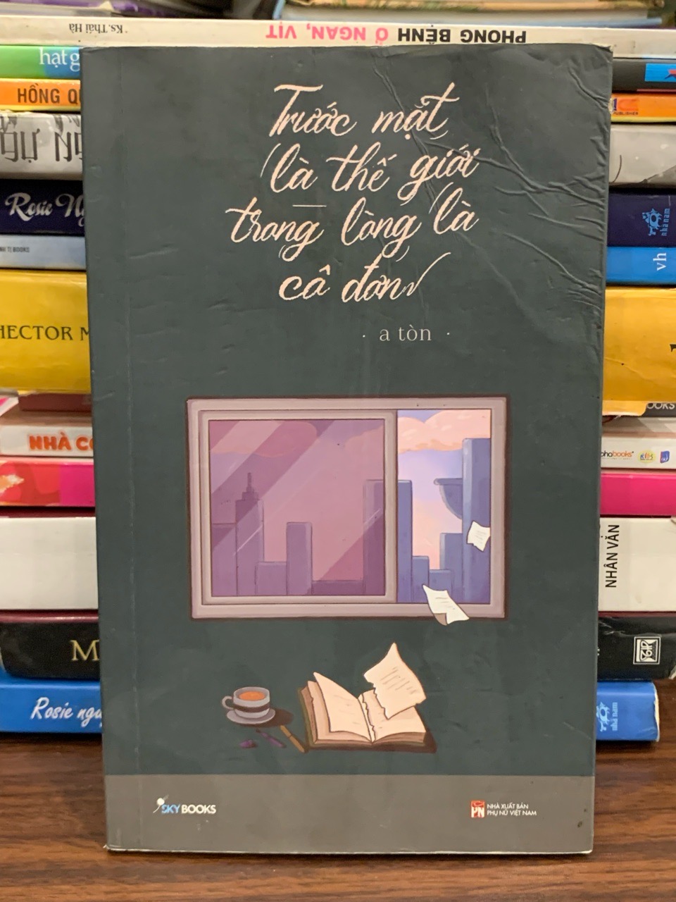Trước mặt là thế giới, trong lòng là cô đơn – A Tồn