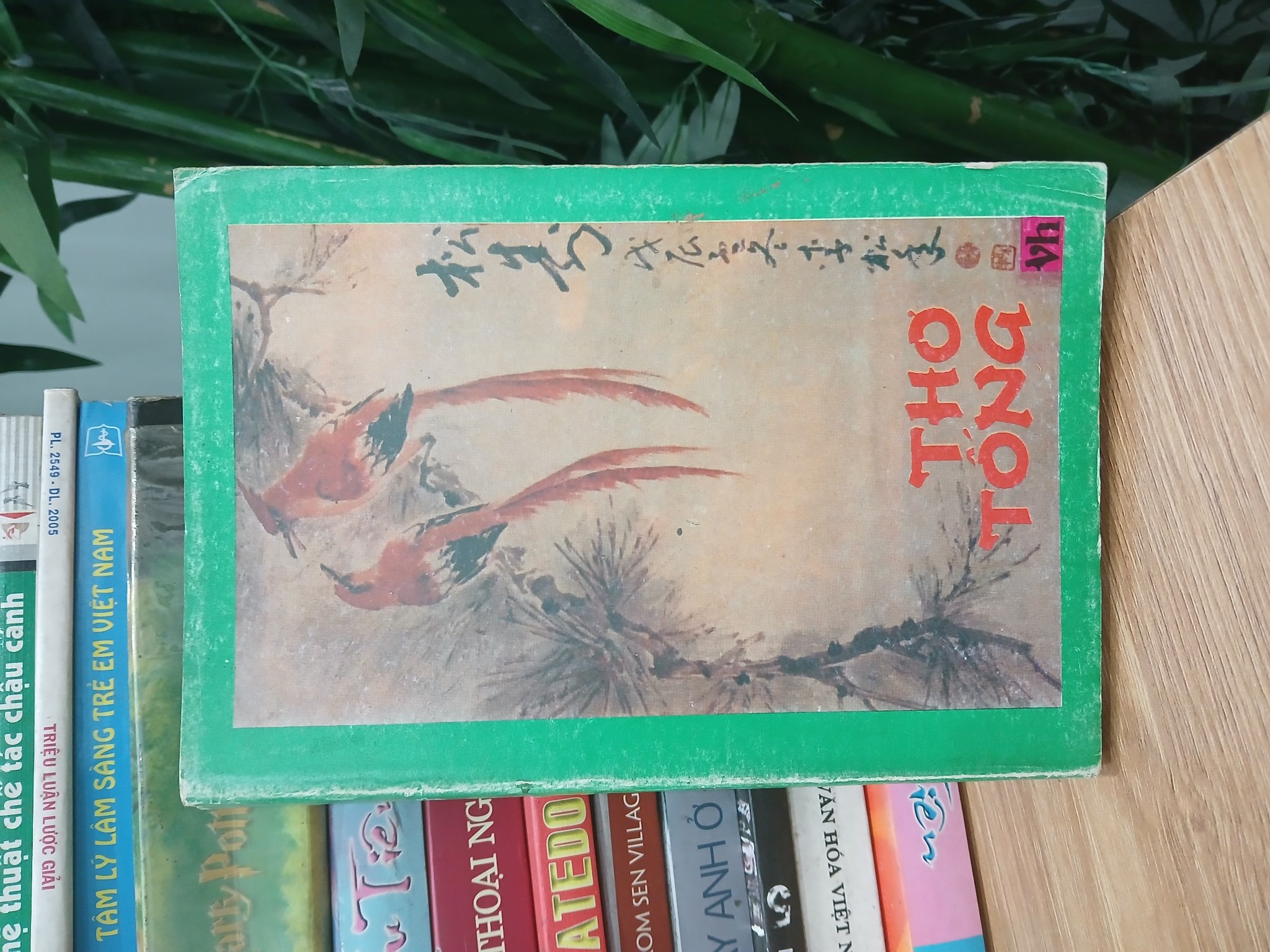 Thơ Tống - Văn Học Cổ Điển Trung Quốc - 1991