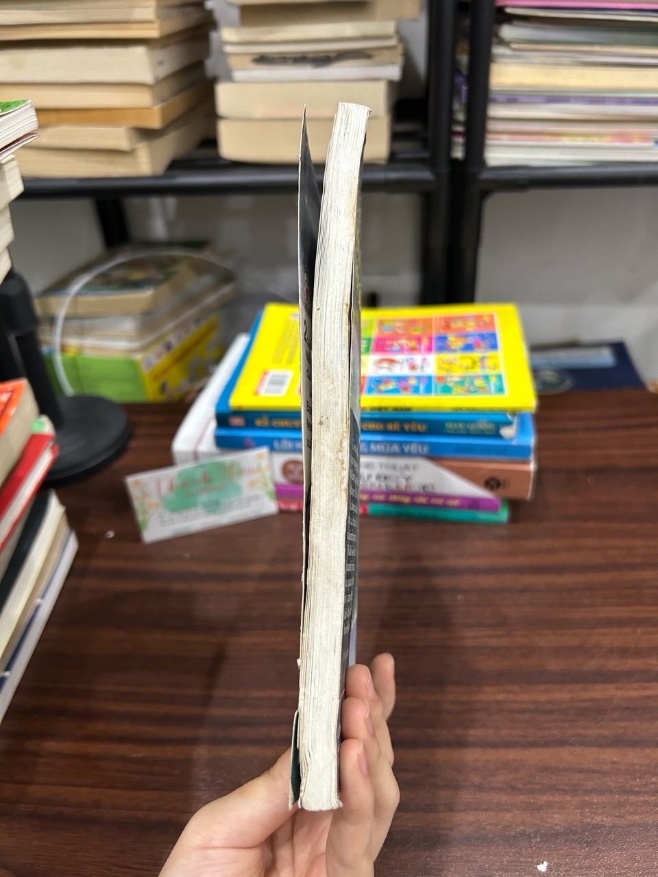 Điều kỳ diệu từ cách nhìn cuộc sống- hạt giống tâm hồn