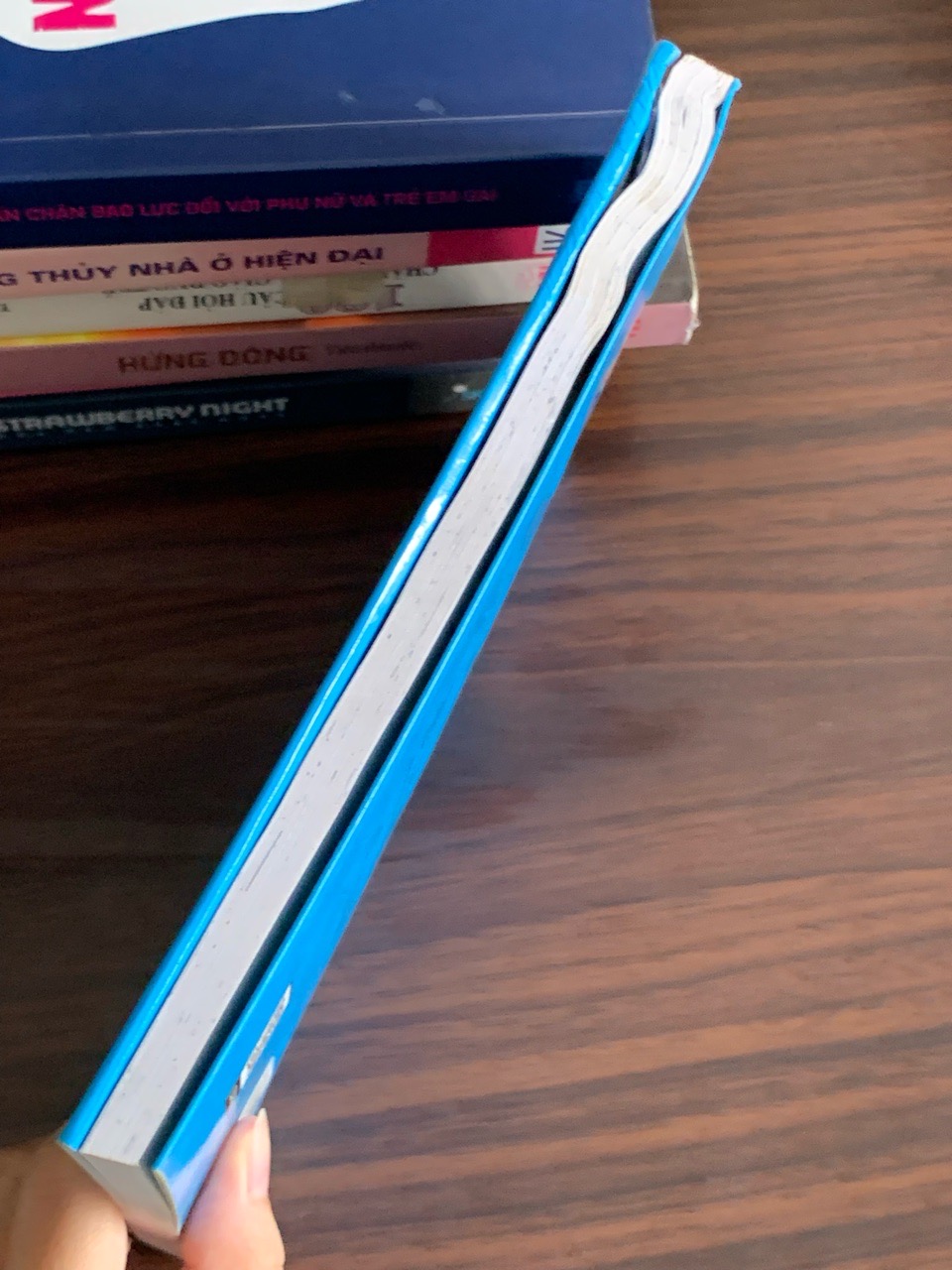 Nước cờ hòa – Nguyễn Hữu Huấn, Nguyễn Huy Du