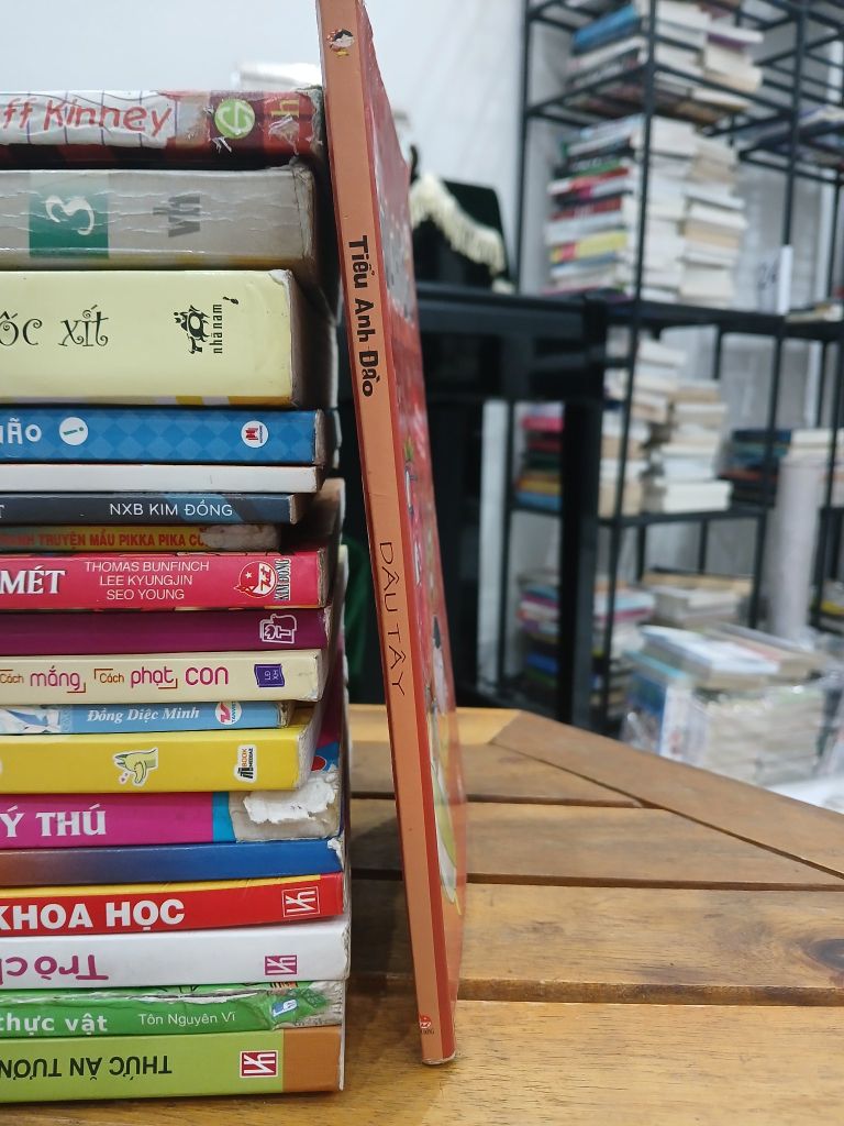 Dâu tây- Tiểu Anh Đào - Ảnh thực tế 3
