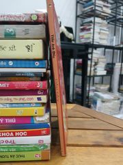 Dâu tây- Tiểu Anh Đào - ảnh 3