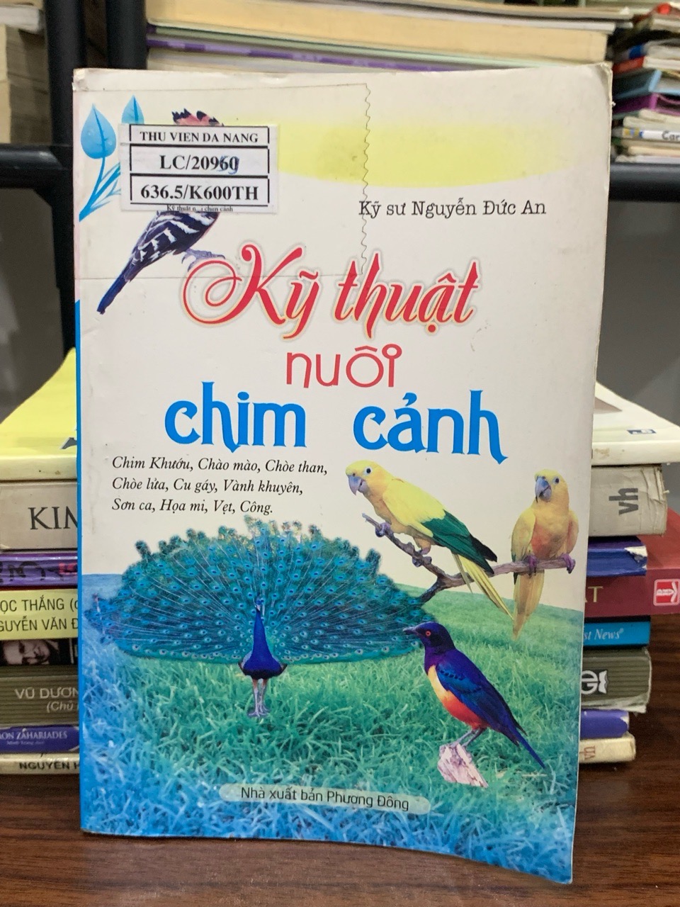 Kỹ thuật nuôi chim cảnh – Kỹ sư Nguyễn Đức An