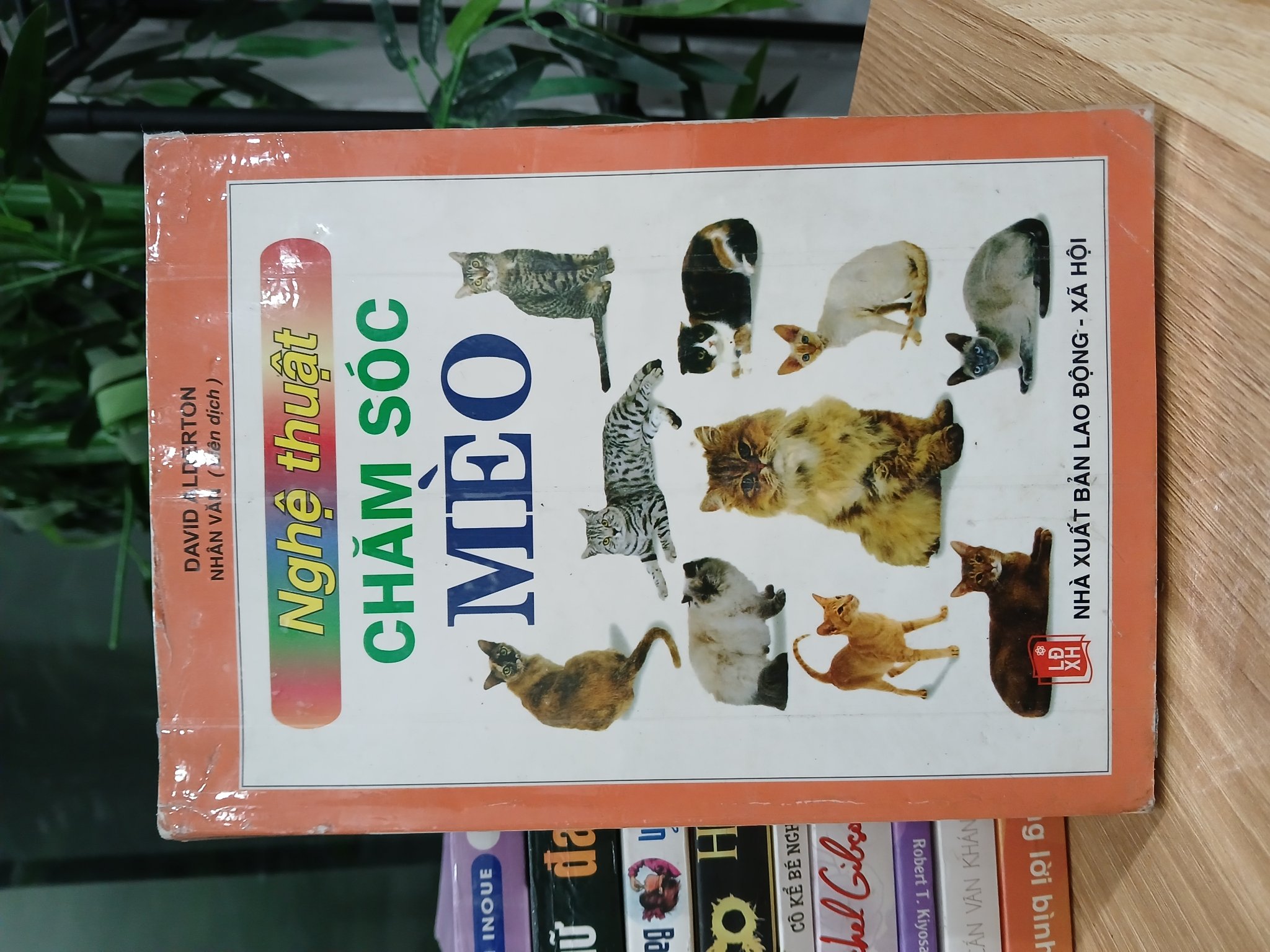 Nghệ thuật chăm sóc mèo – David Alderton