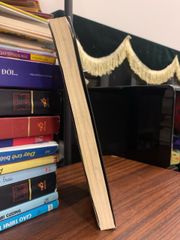 đặc quyền của gái hư – Kara King - ảnh 3