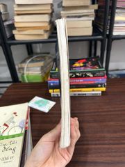 Truyện Kiều Nguyễn Du- NXB Văn học - ảnh 3