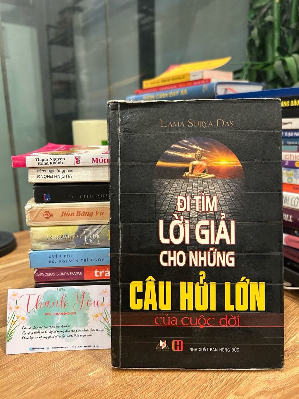 Đi tìm lời giải cho những câu hỏi lớn của cuộc đời – Lama Surya Das