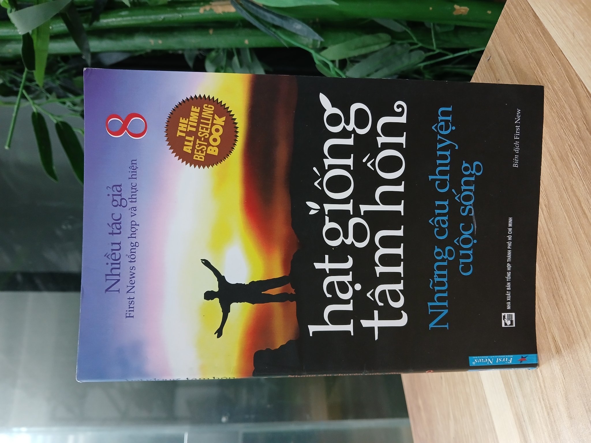 Hạt giống tâm hồn 8: Những câu chuyện cuộc sống – Nhiều tác giả