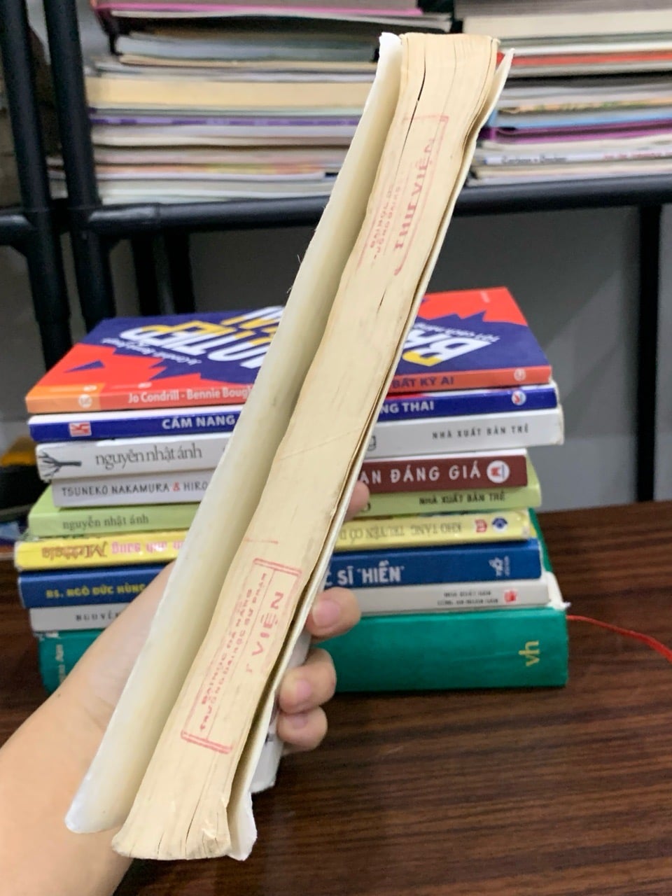 Phương pháp luận sử học — Phan Ngọc Liên (Chủ biên)