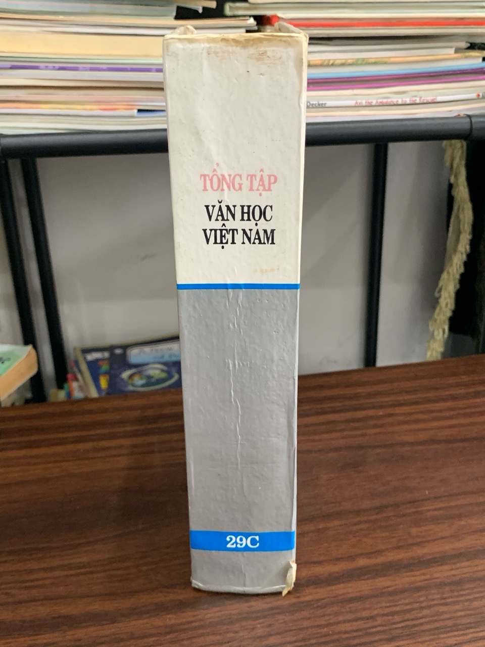 Tổng tập Văn học Việt Nam – Tập 29C – NXB khoa học xã hội