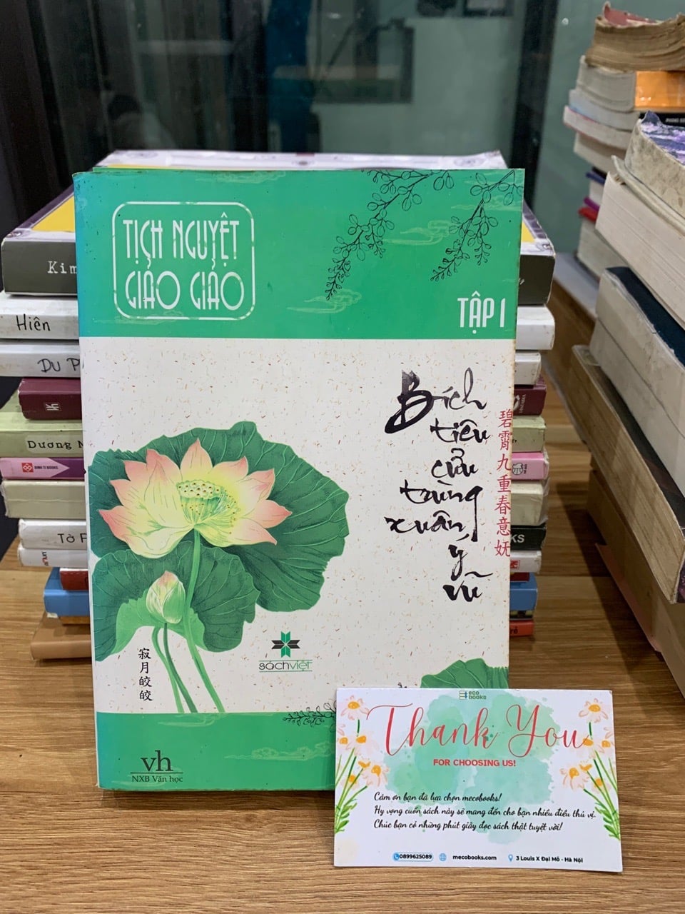 Bích tiêu cửu trùng xuân ý vũ- Tịch Nguyệt Giảo Giảo