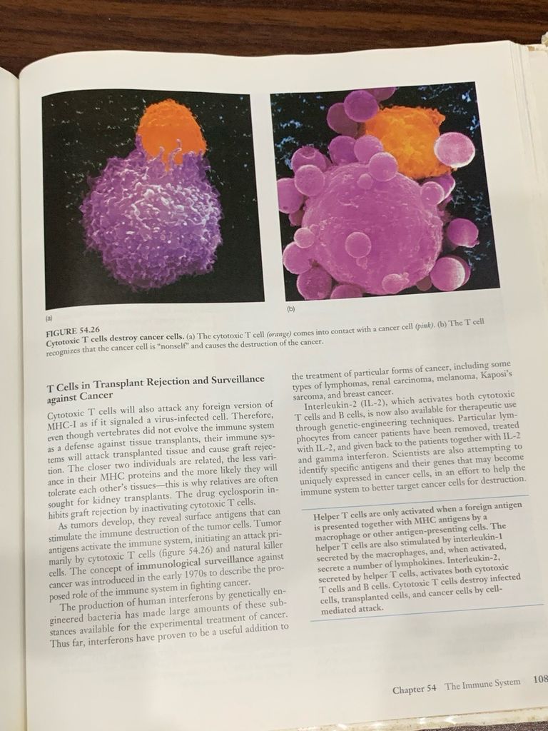 Biology (Fifth Edition) – Raven, Johnson - Ảnh thực tế 5