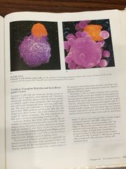 Biology (Fifth Edition) – Raven, Johnson - ảnh 5