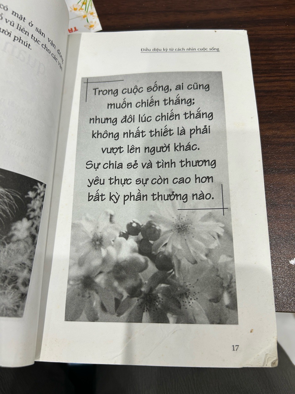 Điều kỳ diệu từ cách nhìn cuộc sống- hạt giống tâm hồn