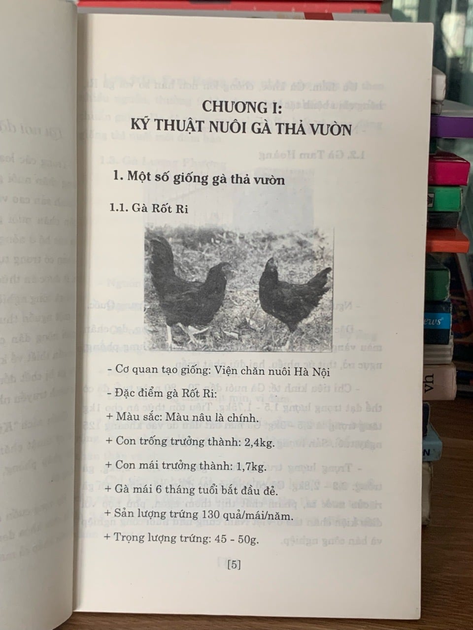 Kỹ thuật nuôi gà – Hoàng Tiến Lợi