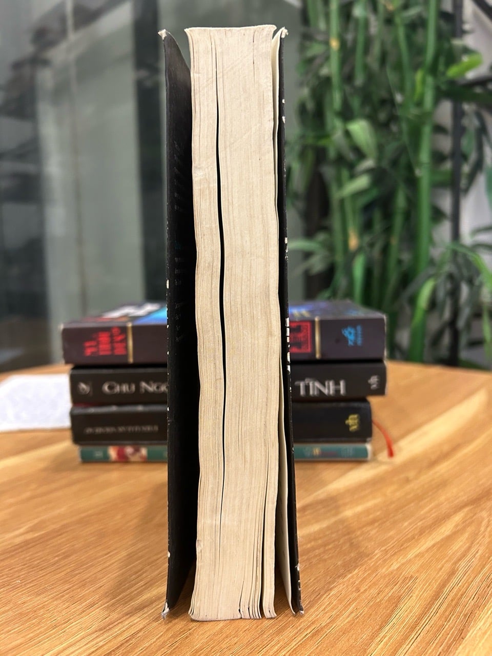 Đạo Tình (Tập 1) – Chu Ngọc