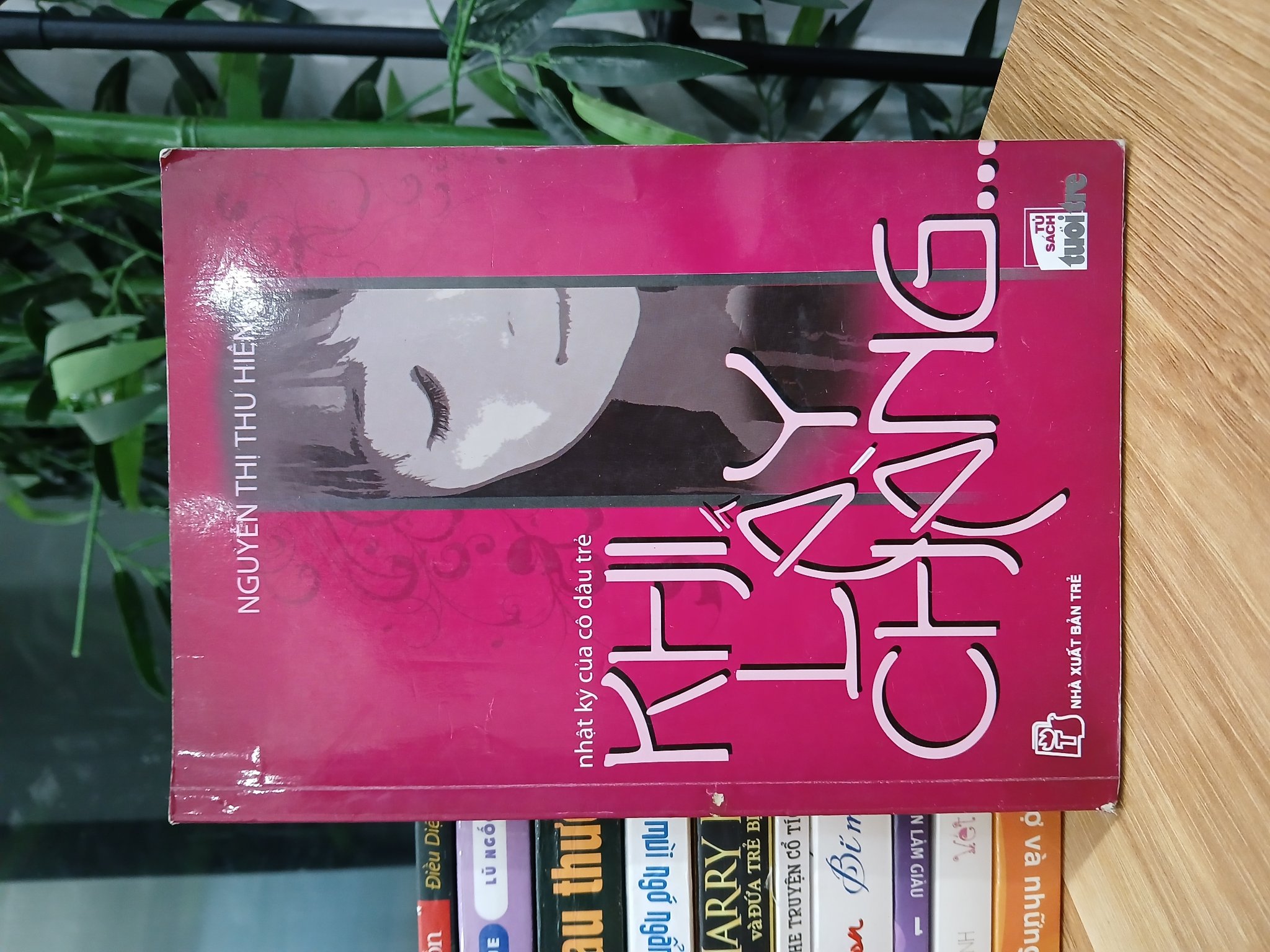 Khi lấy chàng… (Nhật ký của cô dâu trẻ) – Nguyễn Thị Thu Hiền