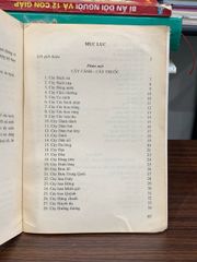 Cây cảnh – Cây thuốc trong nhà trường — Nguyễn Hữu Đảng - ảnh 5
