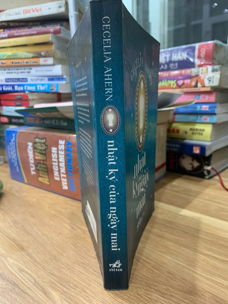 Nhật ký của ngày mai -Cecelia Ahern