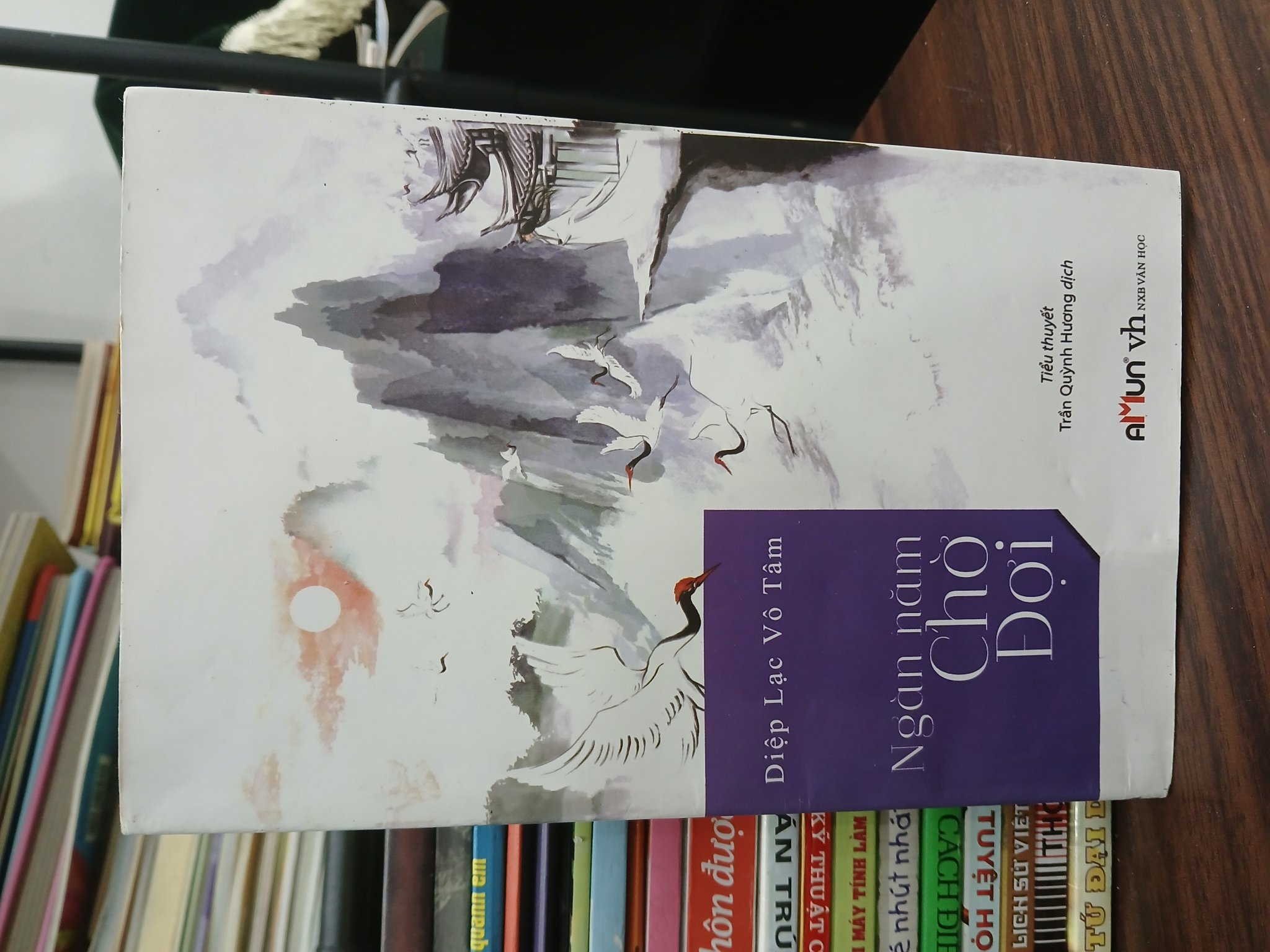 Ngàn năm chờ đợi — Diệp Lạc Vô Tâm