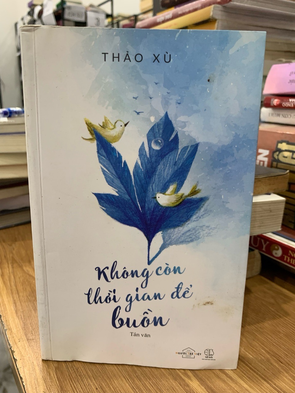 không còn thời gian để buồn -Thảo xù