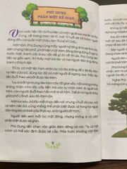 Câu chuyện nhỏ bài học lớn- Lê Thị Lệ Hằng - ảnh 4
