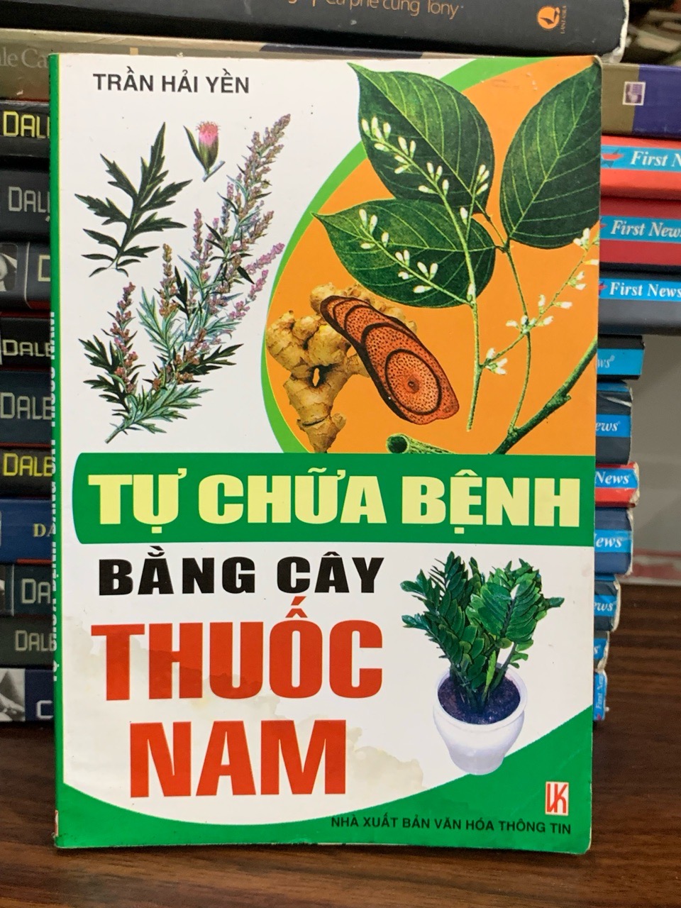 Tự chữa bệnh bằng cây thuốc Nam- Trần Hải Yến