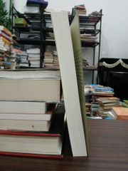 Người Thầy- Nguyễn Chí Vịnh - ảnh 4