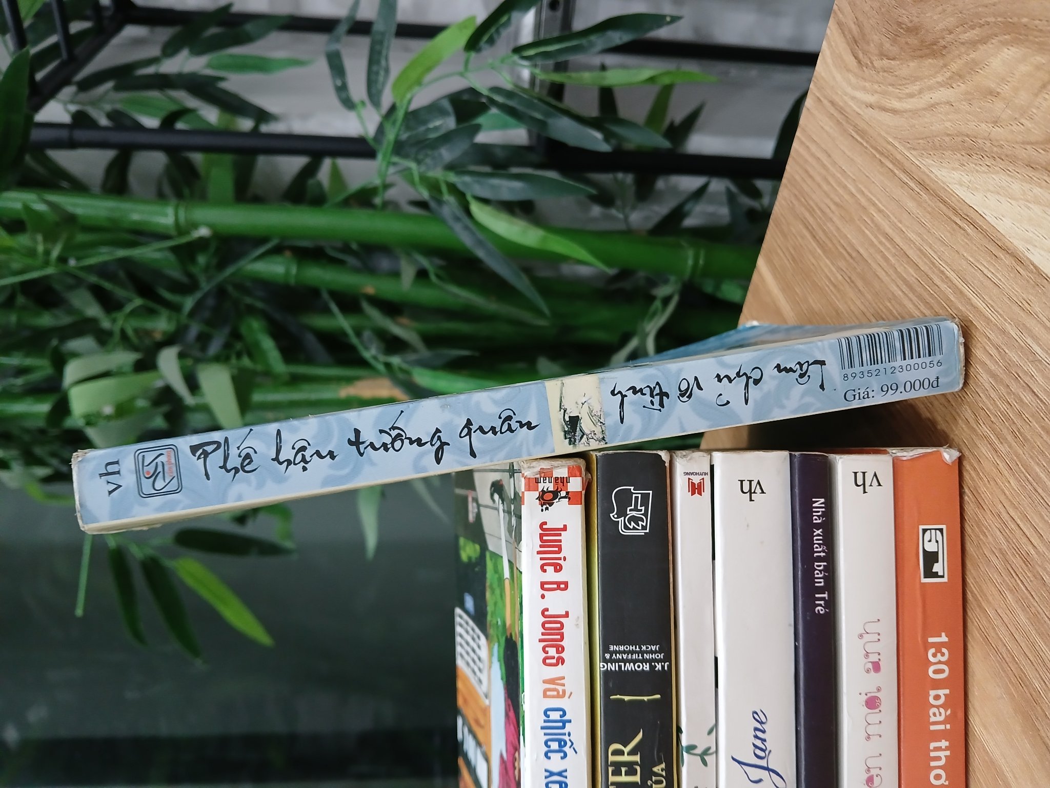 Lâu chủ vô tình -- Thế hậu tướng quân – ( Nhất Độ Quân Hoa )