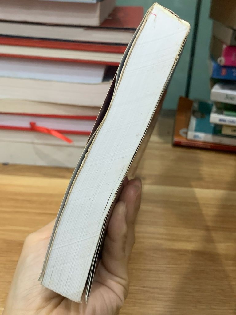 Báo cáo đánh giá quốc gia của Việt Nam-Thanh tra chính phủ - Ảnh thực tế 6