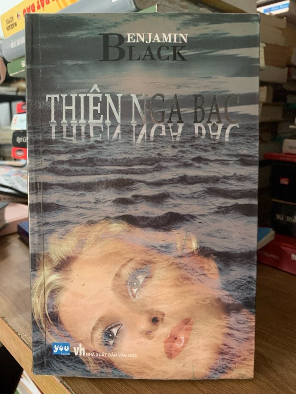 Thiên nga bạc -Bẹnamun Black