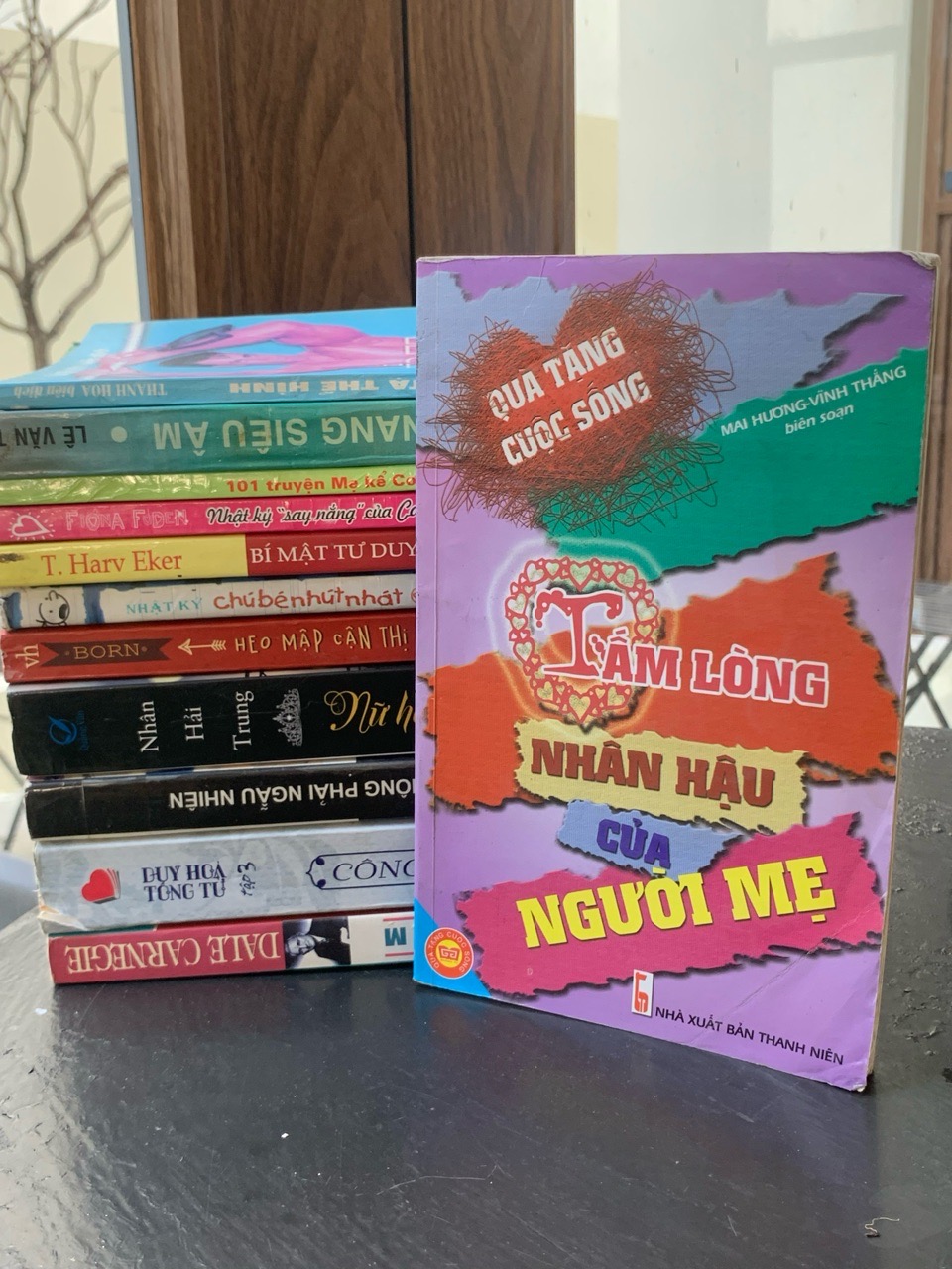 Tấm lòng nhân hậu của người mẹ – Mai Hương, Vĩnh Thắng