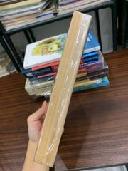 Lịch sử Việt Nam – Từ nguồn gốc đến năm 1884 - ảnh 3