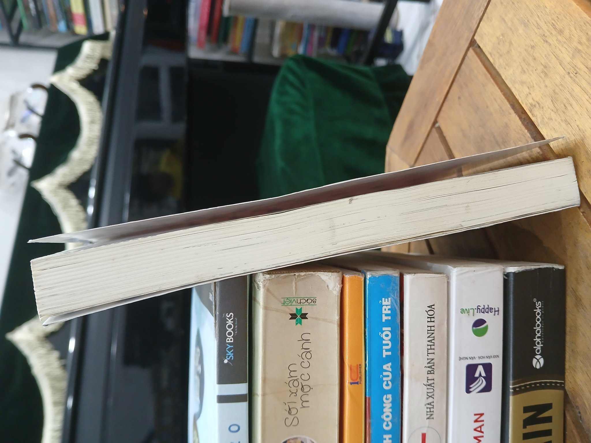 Tashiro, cậu đúng thật là! (Tập 1) — Yamada